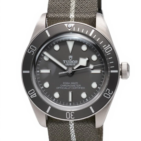 TUDOR 39mm Sterling Silver Black Bay 58 925